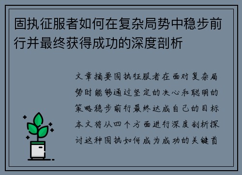 固执征服者如何在复杂局势中稳步前行并最终获得成功的深度剖析